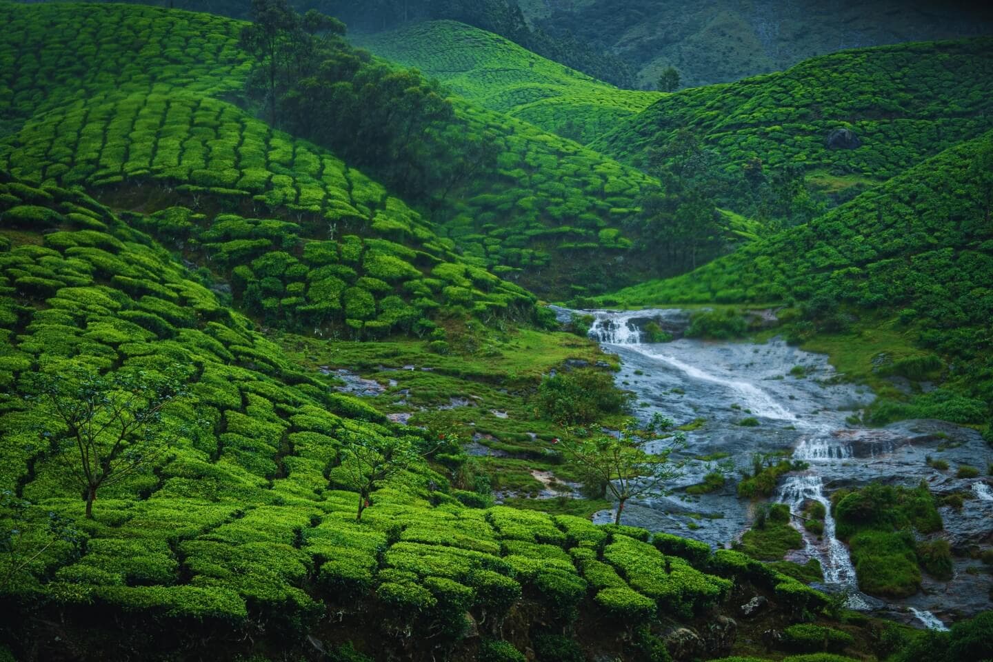 God's Own Country Kerala photo 1